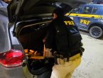 VÍDEO – Jovem é apreendido com 300 kg de maconha e carro roubado na BR-101 em Joinville