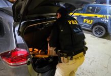 VÍDEO – Jovem é apreendido com 300 kg de maconha e carro roubado na BR-101 em Joinville