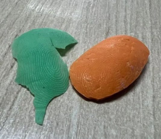 Servidores são presos por fraudarem ponto eletrônico com “dedo falso” em Schroeder