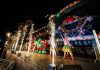 Abertura do Natal de Joinville terá espetáculo com mais de 200 artistas