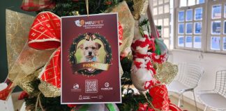 Campanha natalina usa árvores de Natal para incentivar adoção de animais em Joinville