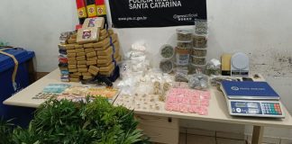 Polícia encontra depósito de drogas com estufas, dinheiro e arma dentro de casa, em Joinville