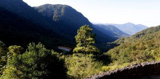 Entenda por que a Prefeitura de Joinville é contra a criação de uma nova área de conservação na região do Quiriri