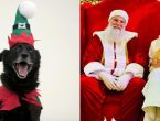 Papai Noel recebe pets para sessão de fotos em shopping de Joinville