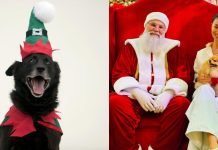 Papai Noel recebe pets para sessão de fotos em shopping de Joinville