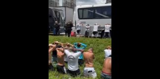 Torcedores do Santos atacam ônibus do Inter e causam bloqueio na BR-101 em SC