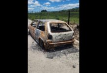 Morador encontra corpo enterrado e carro destruído em área rural de Joinville