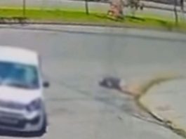 VÍDEO – Discussão no trânsito termina em atropelamento de idoso em Joinville