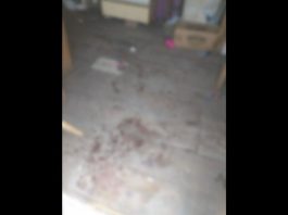 Homem é preso suspeito de tentar matar companheira com golpes de foice em Joinville