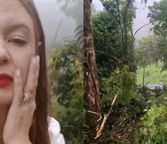 Carro com ex-candidata a prefeita cai em ribanceira na BR-280, em São Bento do Sul