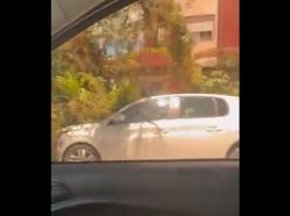 Ventos fortes provocam quedas de árvores e interdição do Mirante, em Joinville