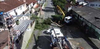 Ventania provoca mais de 60 ocorrências em Joinville e Defesa Civil mantém alerta para esta quinta-feira