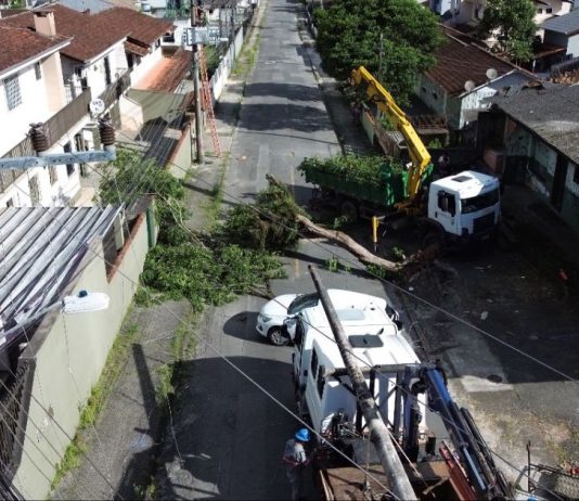 Ventania provoca mais de 60 ocorrências em Joinville e Defesa Civil mantém alerta para esta quinta-feira