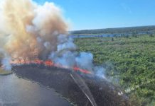 Incêndio atinge parque de conservação ambiental em São Francisco do Sul