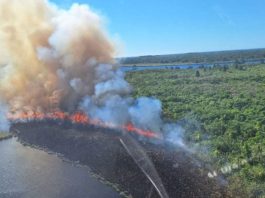 Incêndio atinge parque de conservação ambiental em São Francisco do Sul