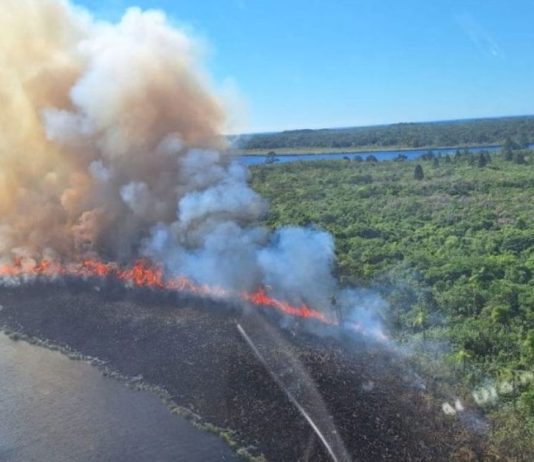 Incêndio atinge parque de conservação ambiental em São Francisco do Sul