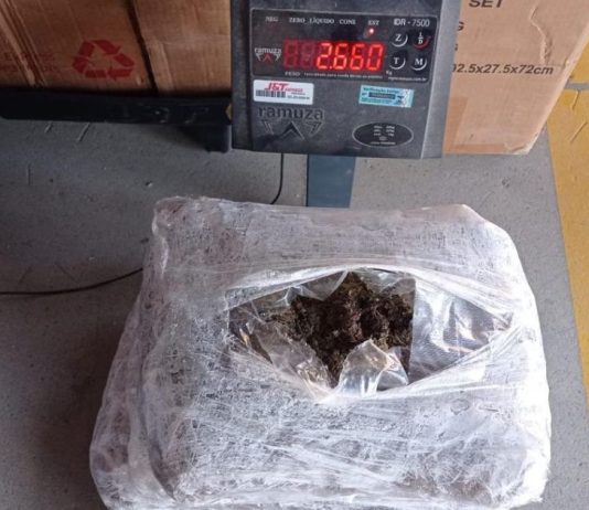 VÍDEO – Receita Federal apreende mais de R$ 100 mil em droga enviada por transportadora em Joinville